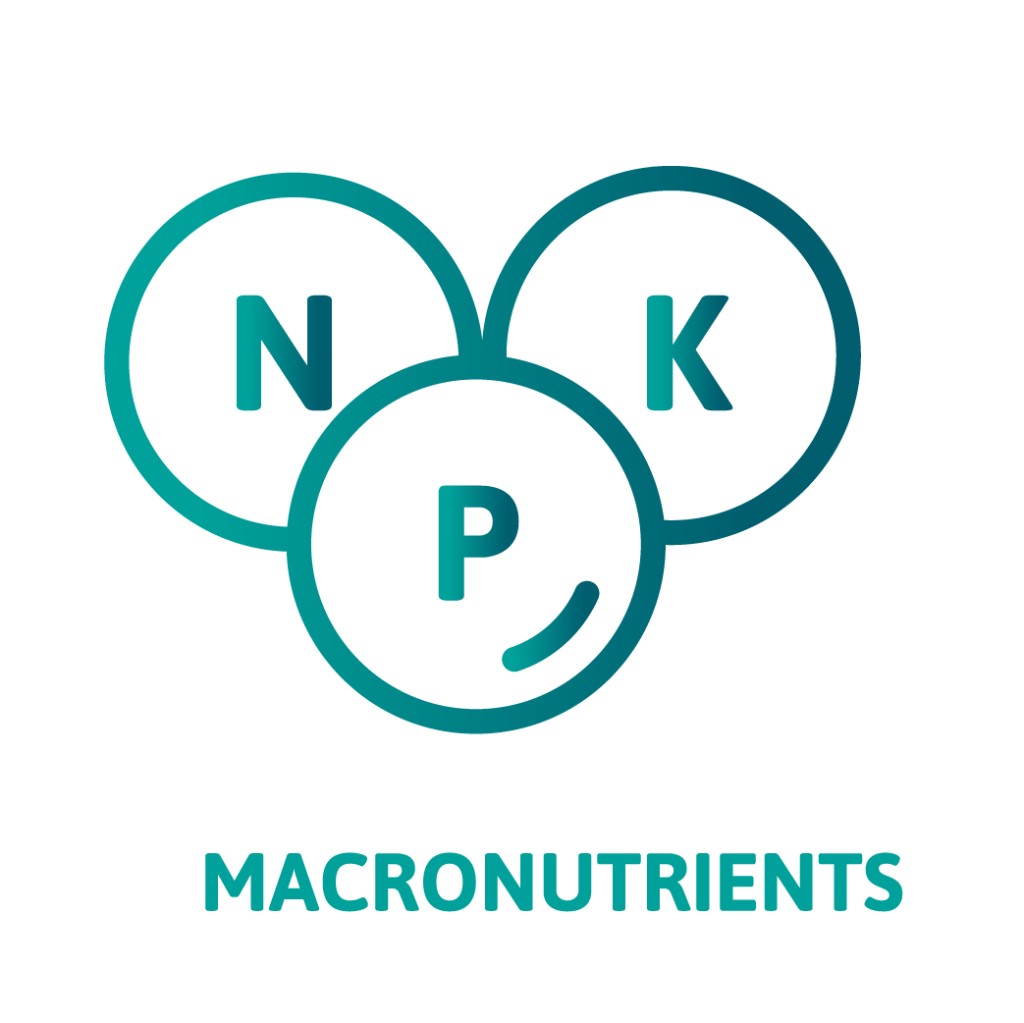 cat macronutrients