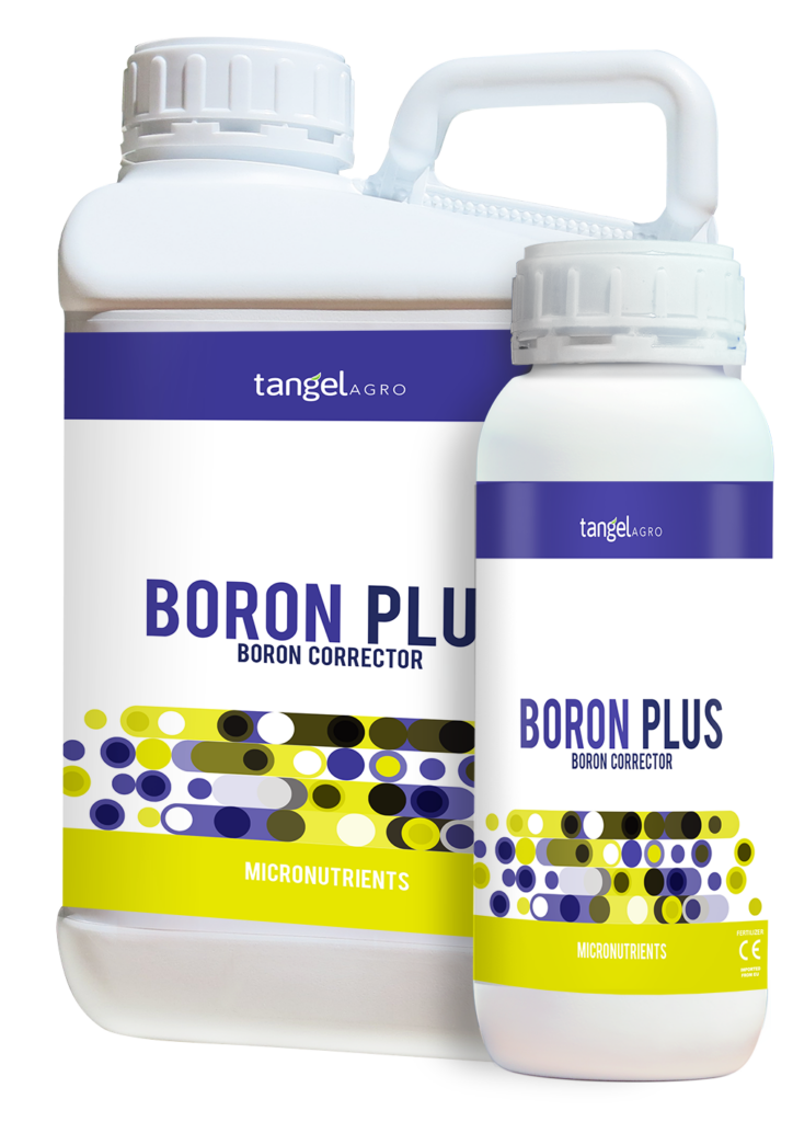 04 ta packing boron plus 1