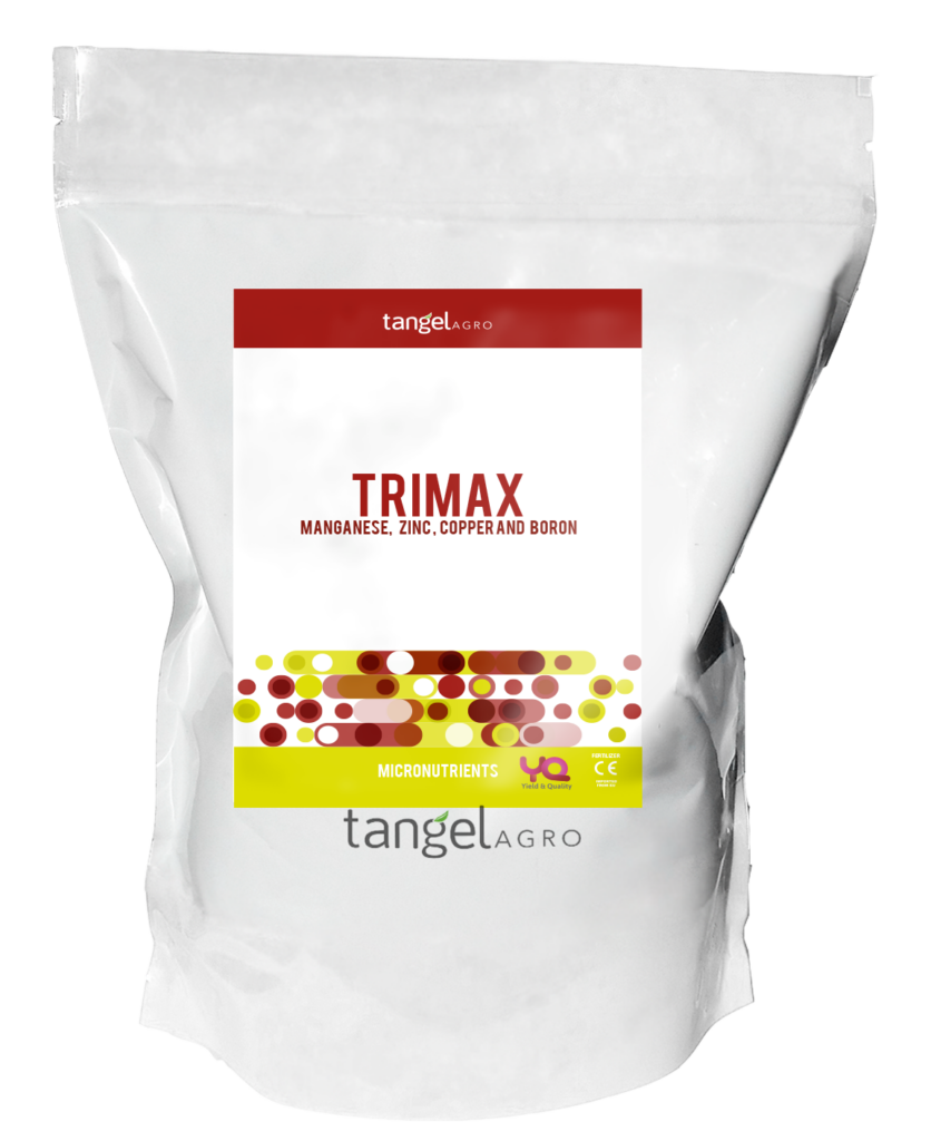 09 ta packing trimax solid