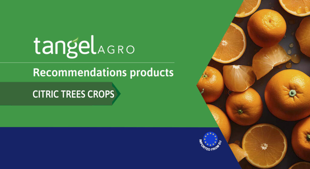 crops citrics 01 e1728293444692