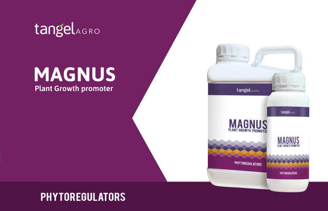 ta brochures thumb phytoregulators magnus