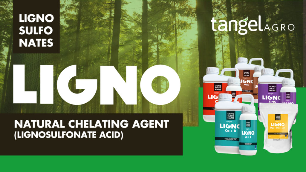 ta en brochure Lignosulfonates 1