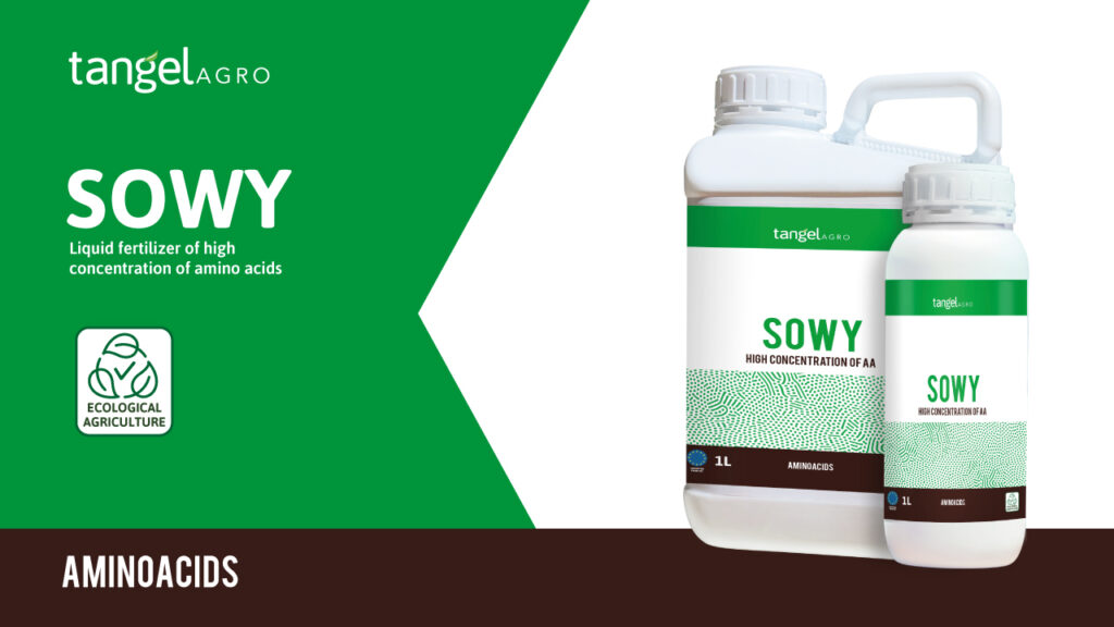 ta en brochure aminoacids SOWY