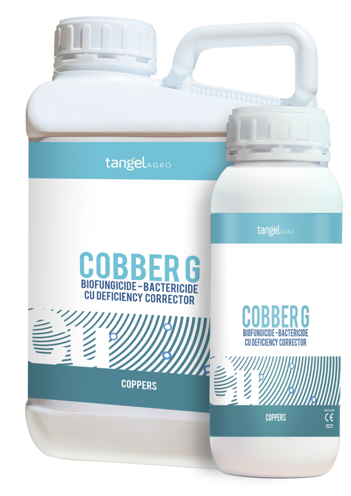 ta packing 1L 5L cobber g 1