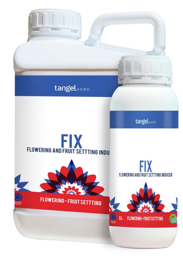 ta packing 1L 5L fix