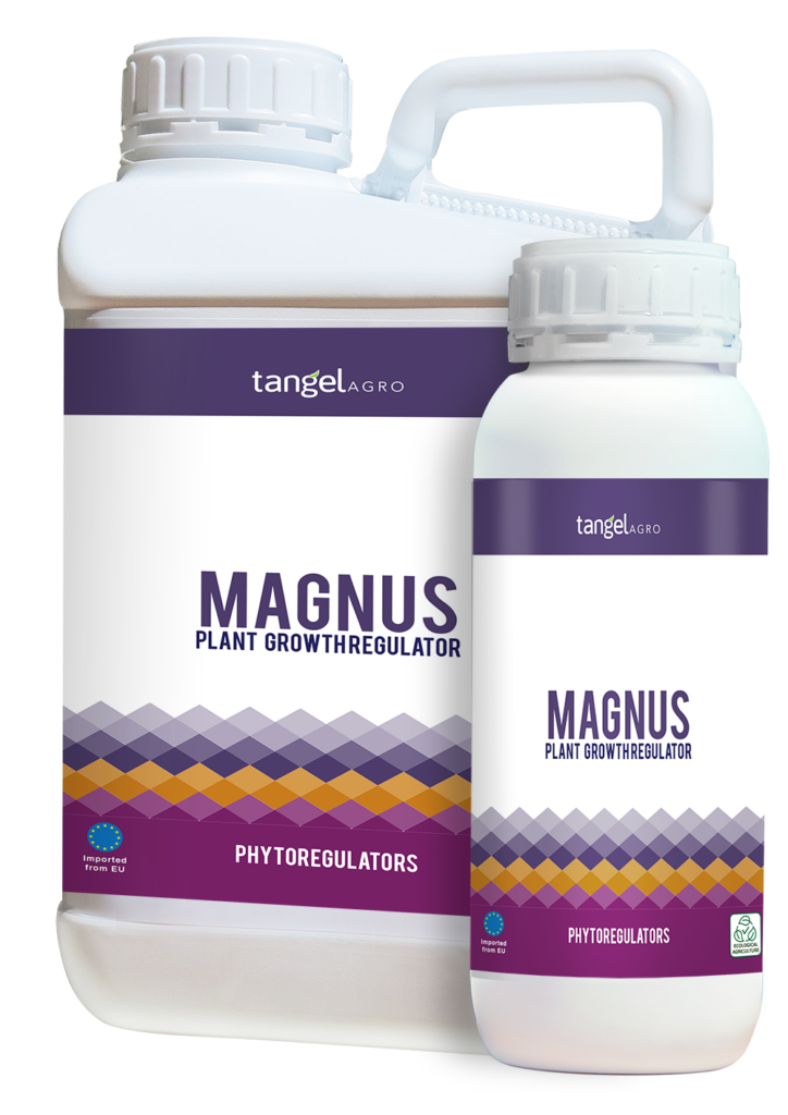 ta packing 1L 5L magnus 1