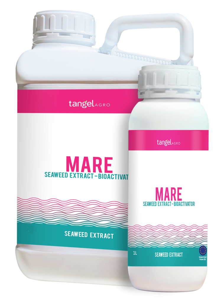 ta packing 1L 5L mare