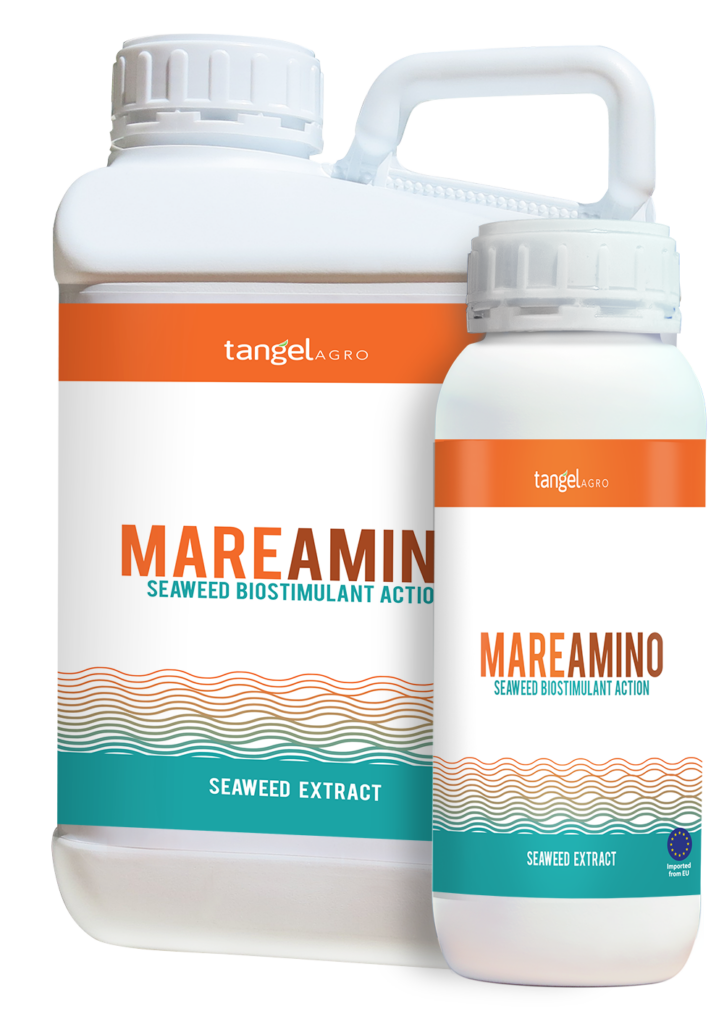 ta packing 1L 5L mare amino