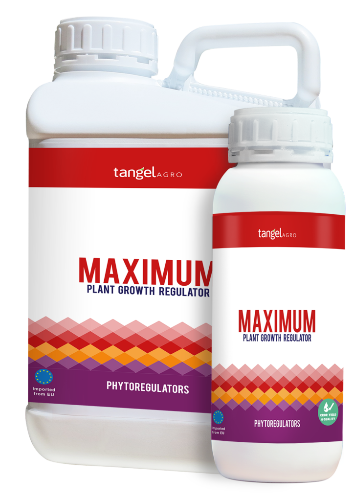 ta packing 1L 5L maximum