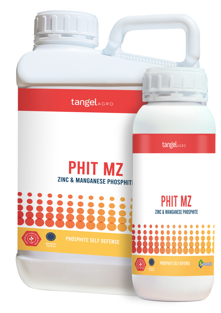 ta packing 1L 5L phit mz