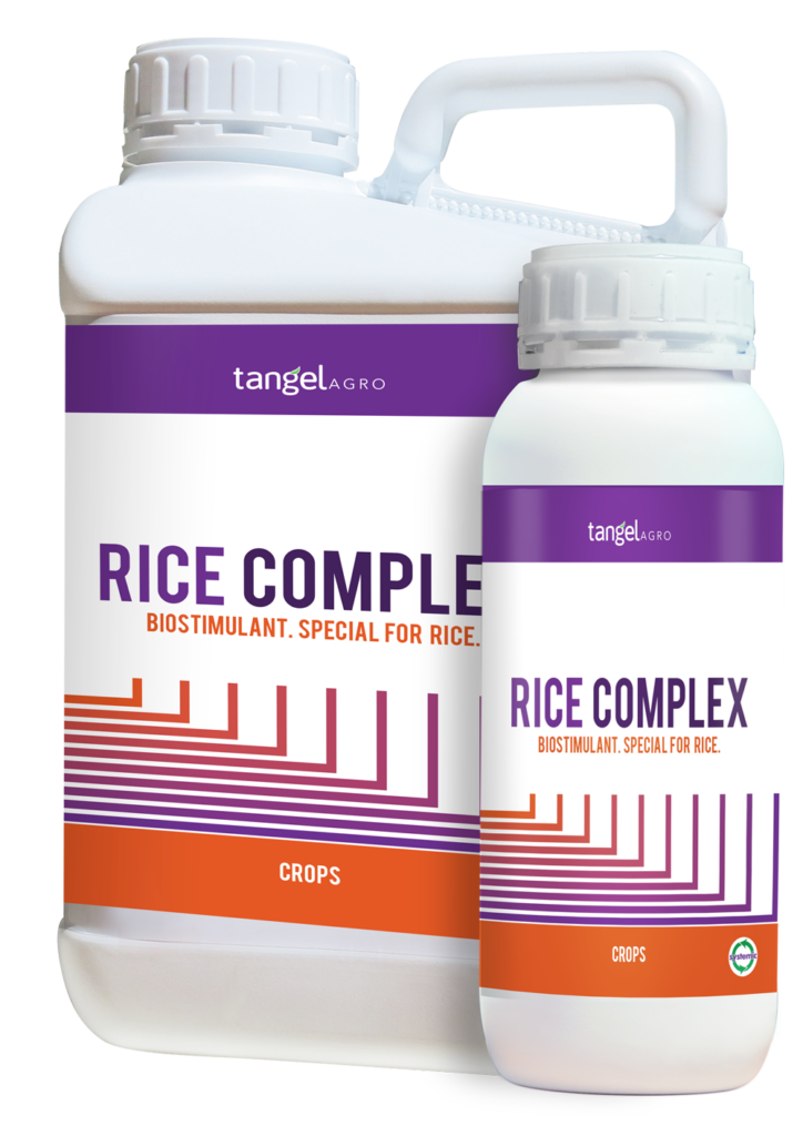 ta packing 1L 5L rice complex
