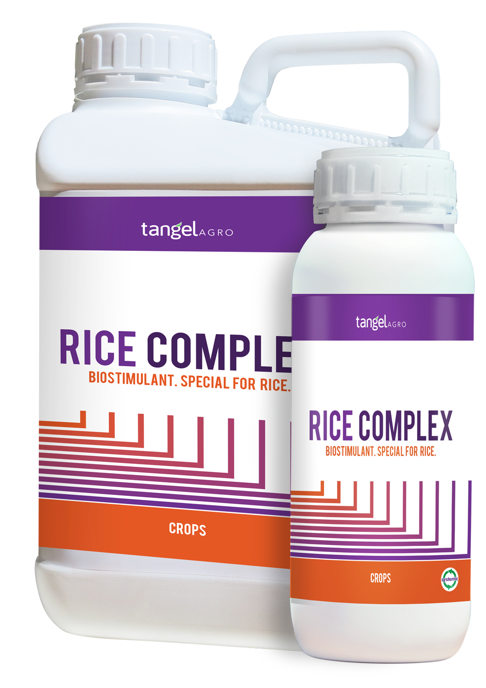 HOME 19 RICE COMPLEX
