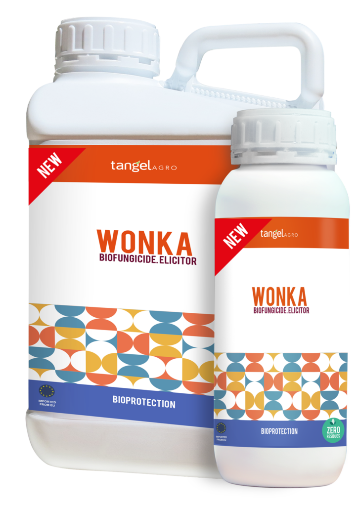 ta packing 1L 5L wonka