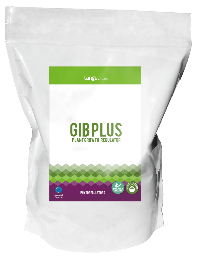 ta packing bolsa 1Kg gib plus