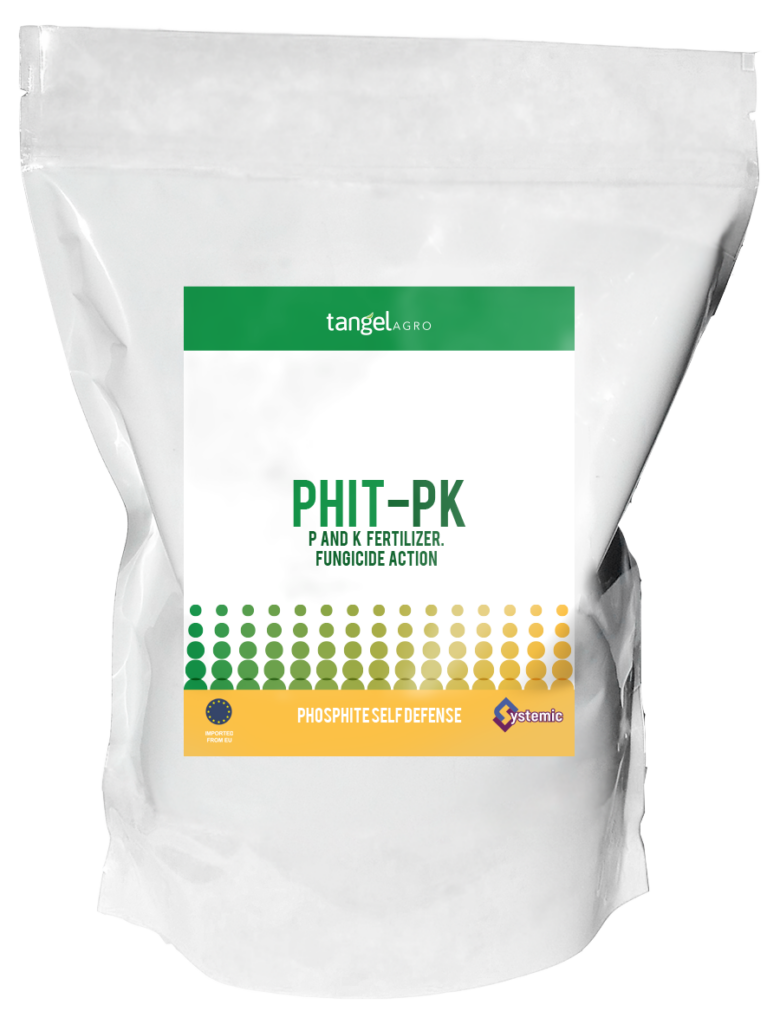 ta packing bolsa 1Kg phit pk