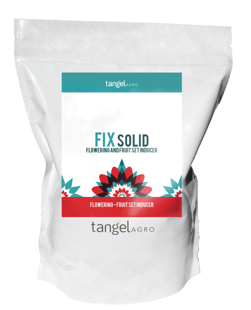 ta packing bolsa fix solid