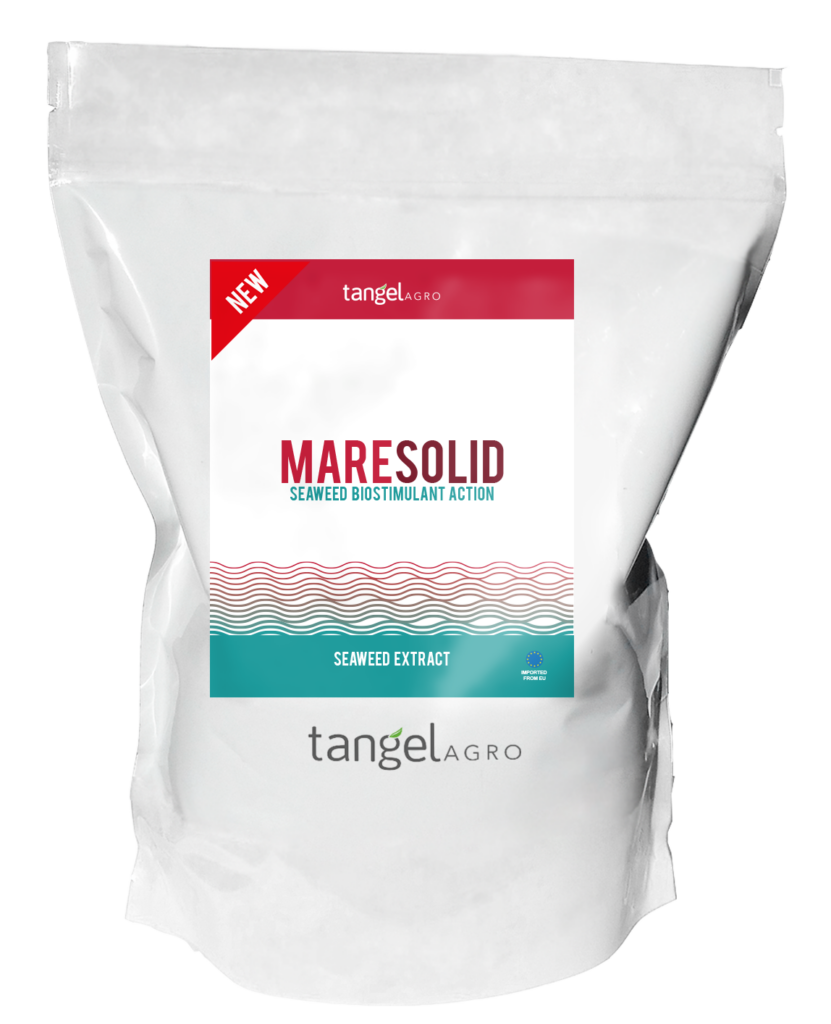 ta packing bolsa mare solid 1