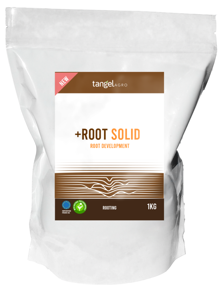 ta packing bolsa root solid 1Kg