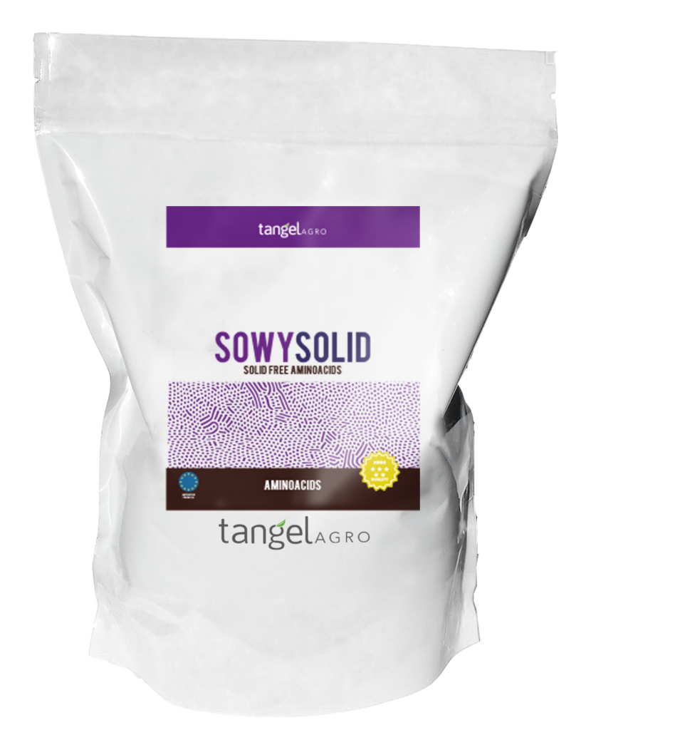 ta packing bolsa sowy solid