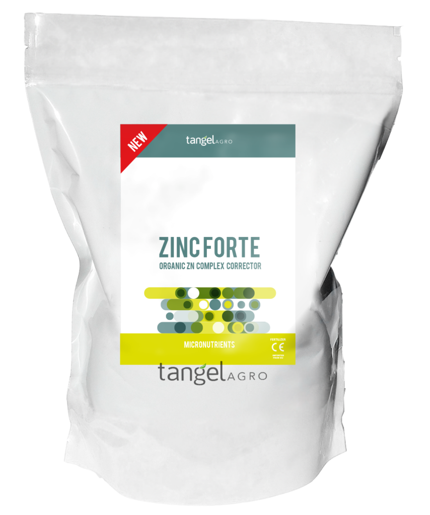 ta packing caja bolsa nuevo 2023 zinc forte 1