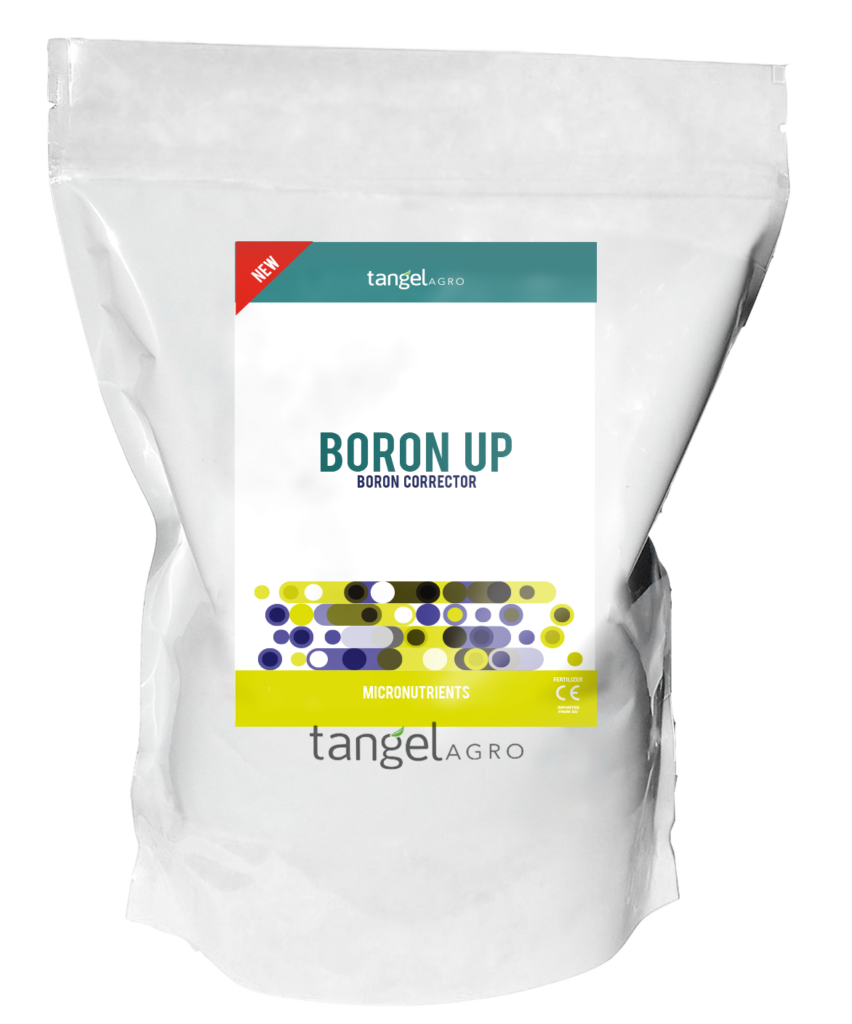 ta packing caja bolsa nuevo boron up 1