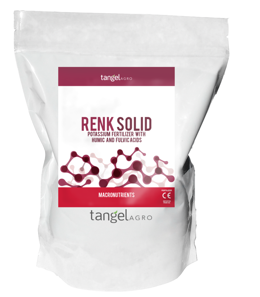 ta packing caja bolsa renk solid