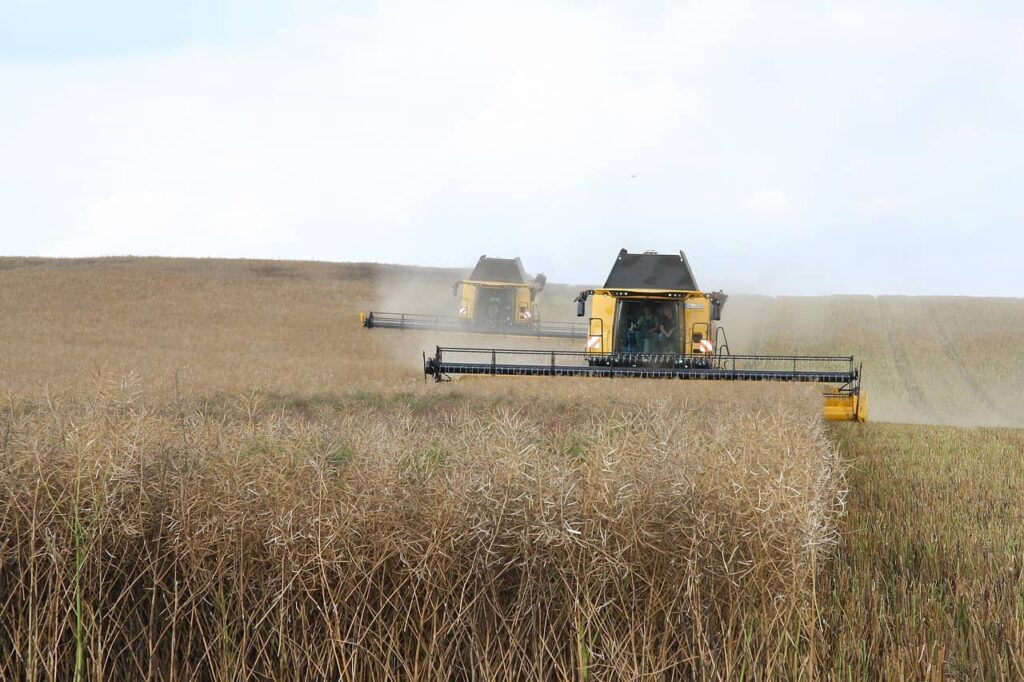 fertilizers for crops