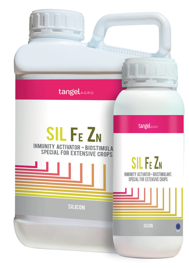 SIL FE ZN PNG