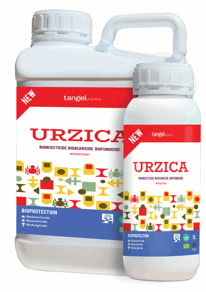 A9R1nz135n qqgtrt ai4