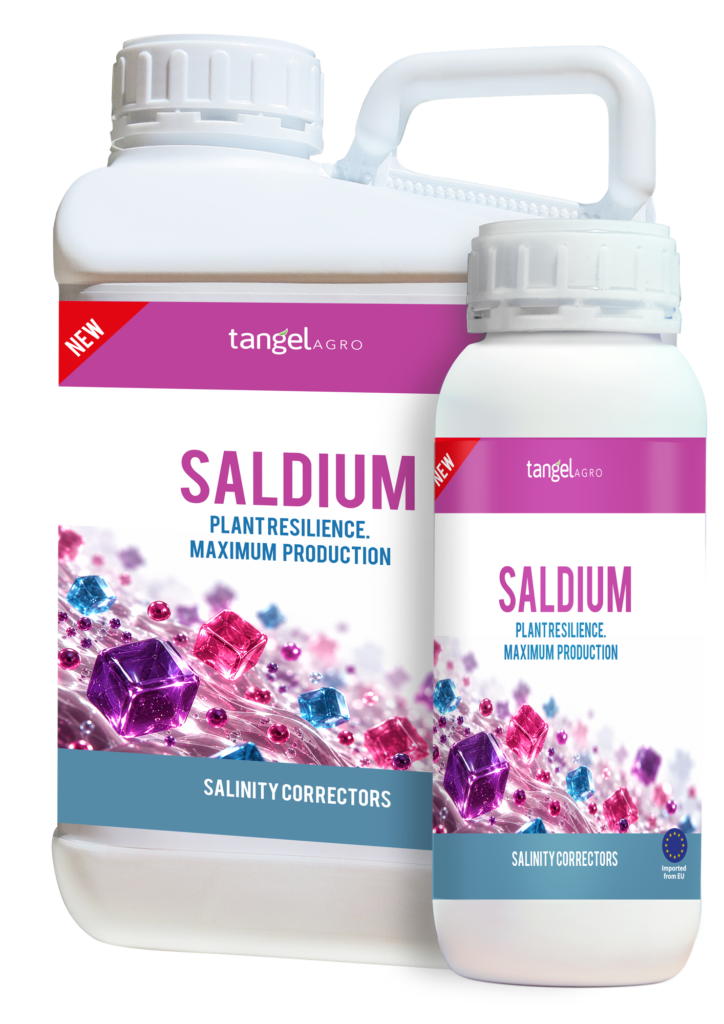 Saldium packing 1L 5L