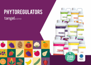 6 2025 08 19acrobat 5ag07vw8yq