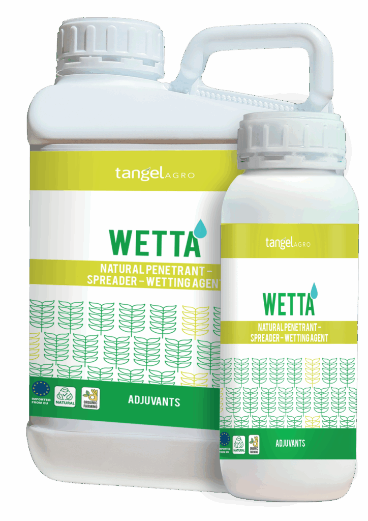 A91ixh7g1 1p4zscb 59c