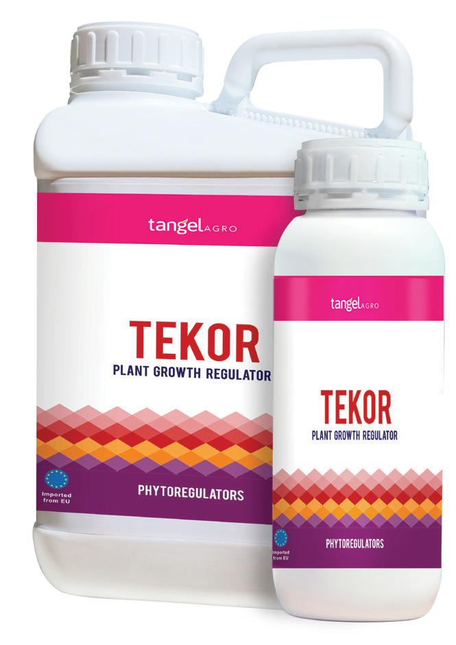 A94ggniy 1mfji68 47g