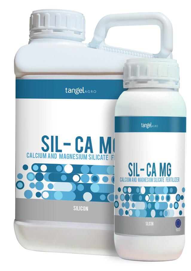 A98pceys 1y4csah 78g