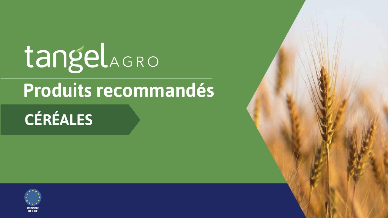 ta fr country recommendations cereals compressed