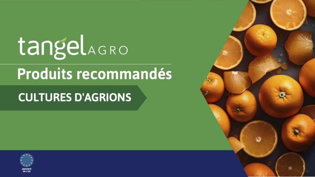 ta fr country recommendations citric trees compressed