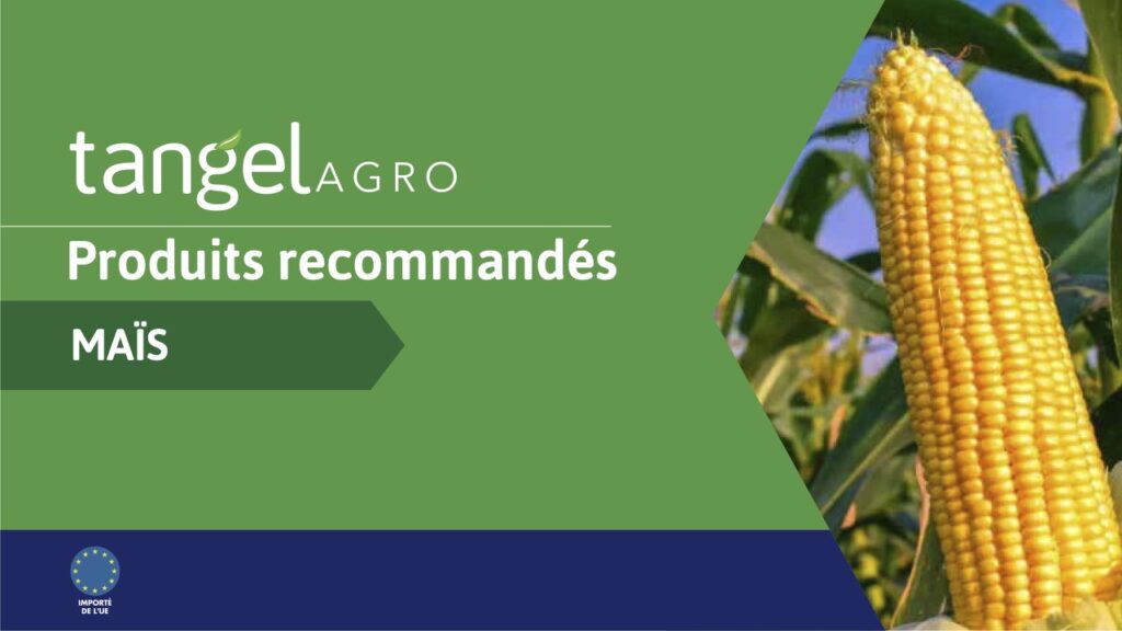 ta fr country recommendations maize compressed