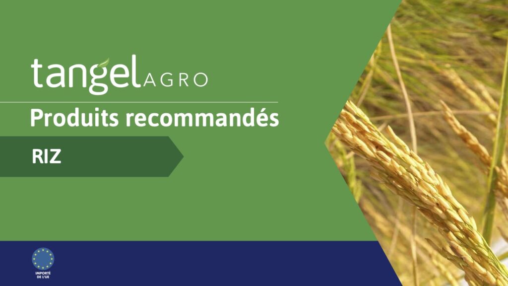 ta fr country recommendations rice compressed