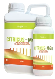tangel agro citricus