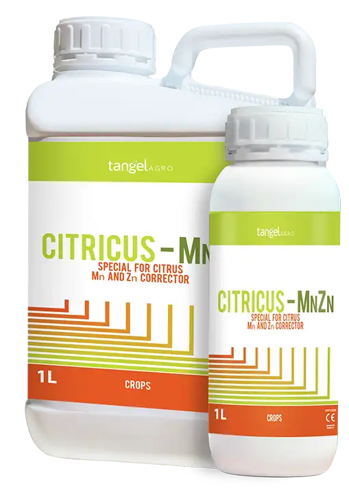 tangel agro citricus