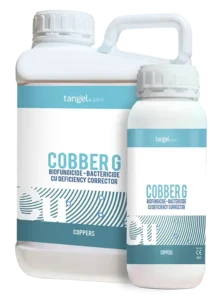 Cobber G