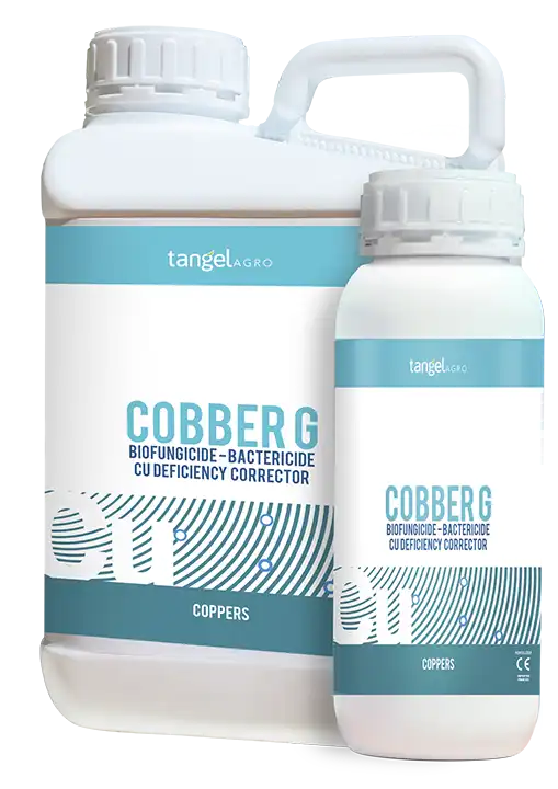 Cobber G