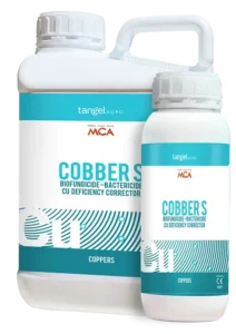 Cobber S