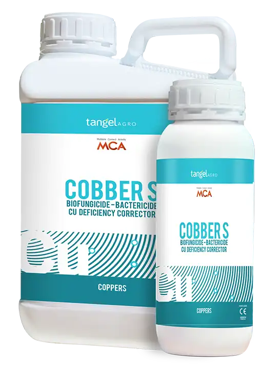 Cobber S