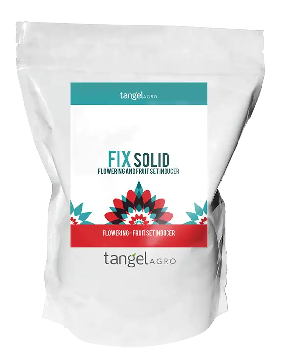 FIX SOLID