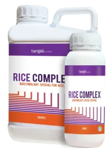 rice complex
