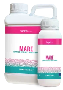 ta_packing_1L_5L_mare