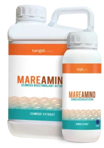 ta_packing_1L_5L_mare_amino