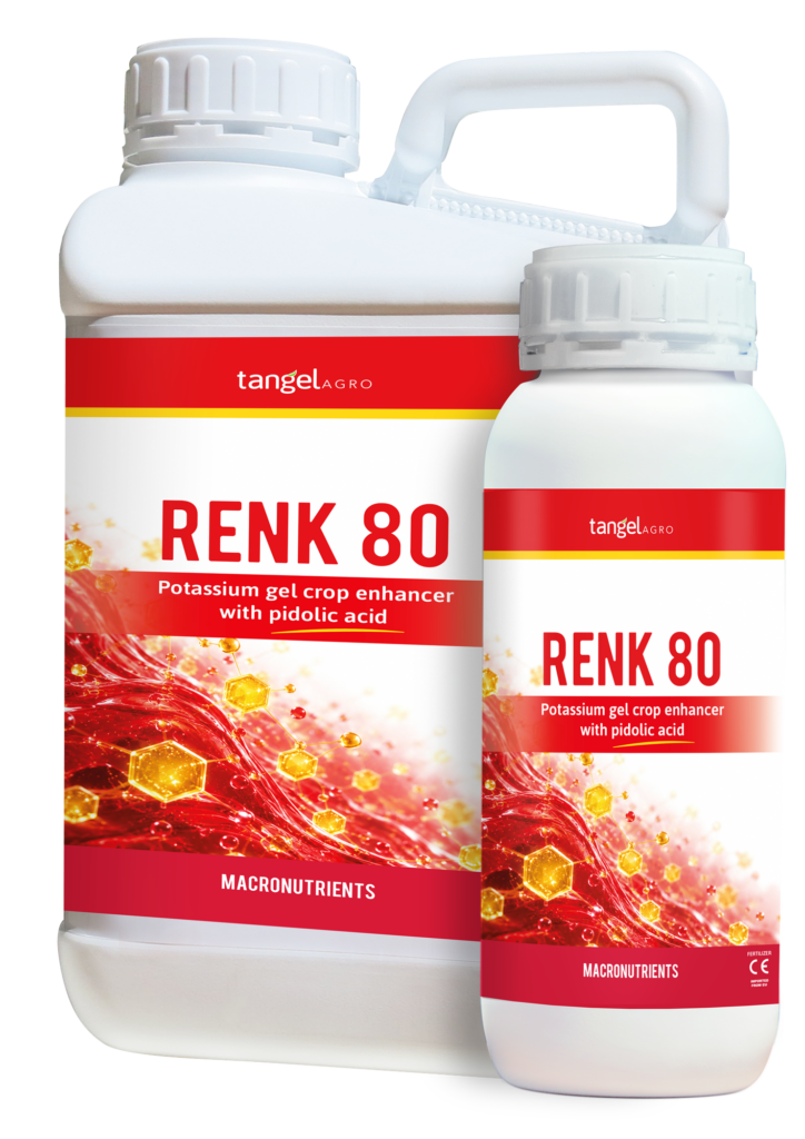 ta packing 1L 5L renk 80