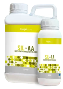 ta_packing_1L_5L_sil_aa
